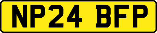 NP24BFP