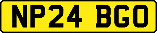 NP24BGO