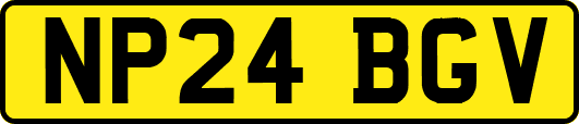 NP24BGV