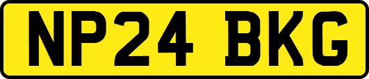 NP24BKG