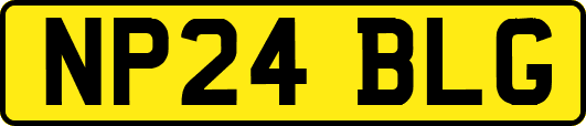NP24BLG