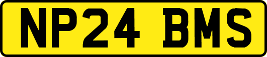 NP24BMS