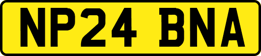 NP24BNA