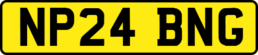 NP24BNG