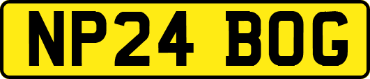 NP24BOG