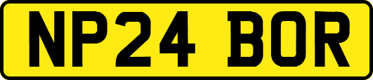 NP24BOR