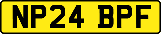 NP24BPF