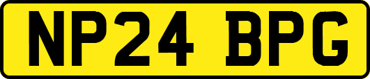 NP24BPG