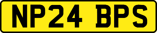 NP24BPS