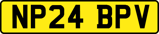 NP24BPV