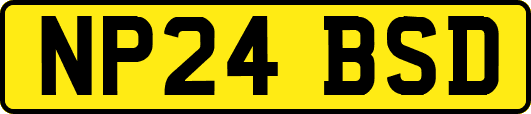 NP24BSD