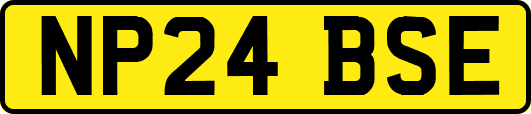 NP24BSE