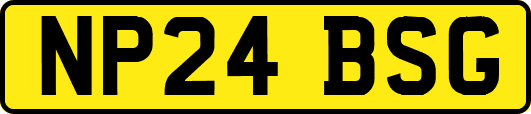 NP24BSG
