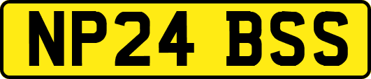 NP24BSS