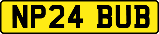 NP24BUB