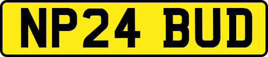 NP24BUD