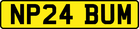 NP24BUM