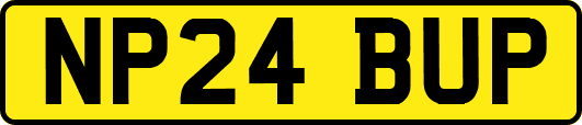 NP24BUP