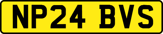 NP24BVS