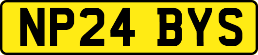 NP24BYS
