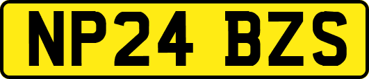 NP24BZS