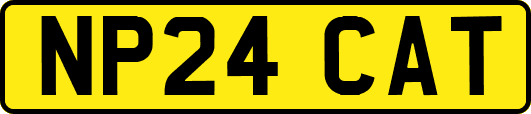 NP24CAT