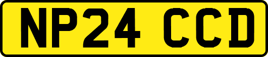 NP24CCD