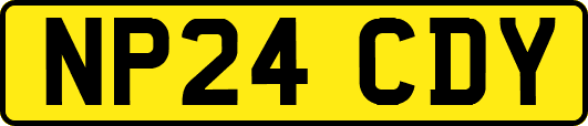 NP24CDY