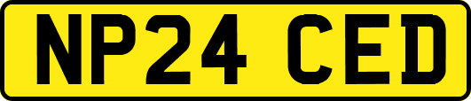 NP24CED