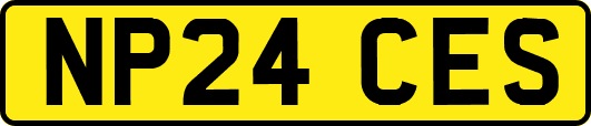 NP24CES