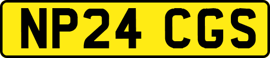 NP24CGS