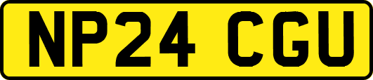 NP24CGU