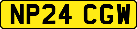 NP24CGW