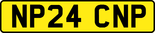 NP24CNP