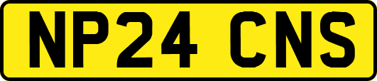 NP24CNS
