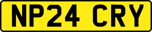 NP24CRY
