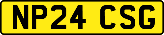 NP24CSG