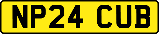 NP24CUB