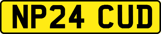 NP24CUD