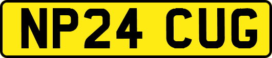 NP24CUG