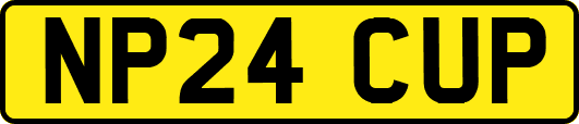NP24CUP