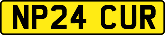 NP24CUR