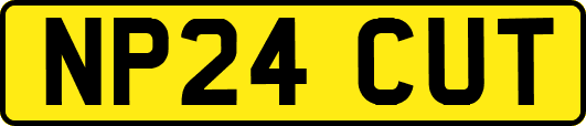 NP24CUT