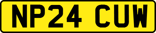 NP24CUW