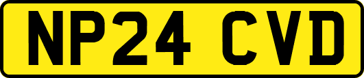 NP24CVD