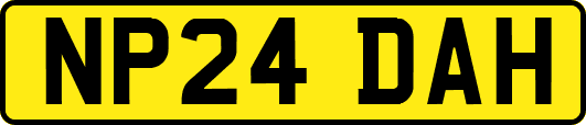 NP24DAH