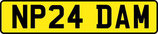 NP24DAM