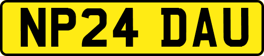 NP24DAU