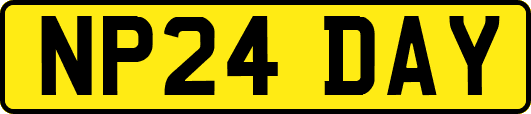 NP24DAY