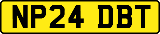 NP24DBT